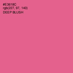 #E3618C - Deep Blush Color Image