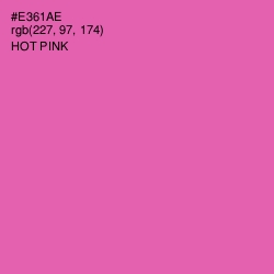 #E361AE - Hot Pink Color Image