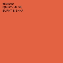 #E36242 - Burnt Sienna Color Image