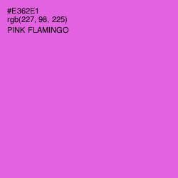 #E362E1 - Pink Flamingo Color Image