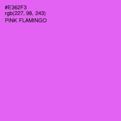 #E362F3 - Pink Flamingo Color Image