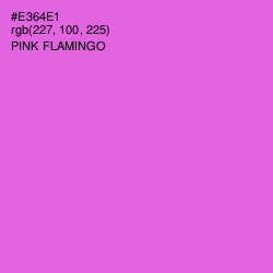 #E364E1 - Pink Flamingo Color Image