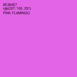 #E364E7 - Pink Flamingo Color Image