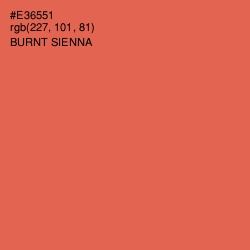 #E36551 - Burnt Sienna Color Image
