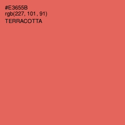 #E3655B - Terracotta Color Image