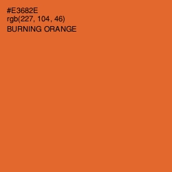 #E3682E - Burning Orange Color Image