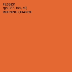 #E36831 - Burning Orange Color Image