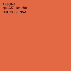 #E36844 - Burnt Sienna Color Image