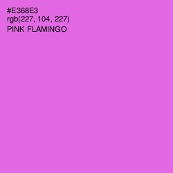 #E368E3 - Pink Flamingo Color Image
