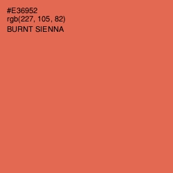 #E36952 - Burnt Sienna Color Image