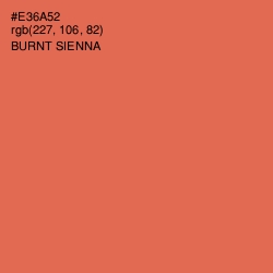 #E36A52 - Burnt Sienna Color Image