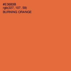 #E36B3B - Burning Orange Color Image