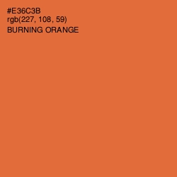 #E36C3B - Burning Orange Color Image