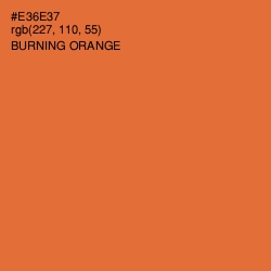 #E36E37 - Burning Orange Color Image