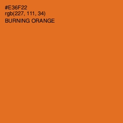 #E36F22 - Burning Orange Color Image