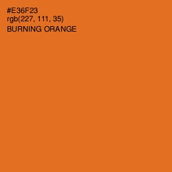 #E36F23 - Burning Orange Color Image