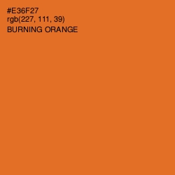 #E36F27 - Burning Orange Color Image