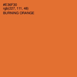 #E36F30 - Burning Orange Color Image