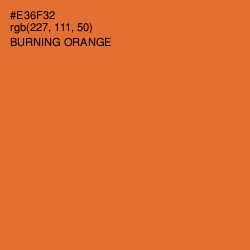 #E36F32 - Burning Orange Color Image