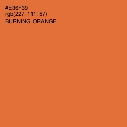 #E36F39 - Burning Orange Color Image