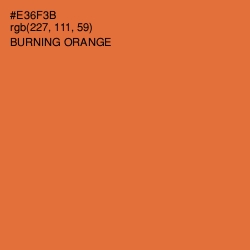 #E36F3B - Burning Orange Color Image