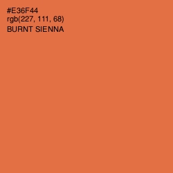 #E36F44 - Burnt Sienna Color Image