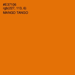 #E37106 - Mango Tango Color Image