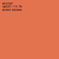 #E3724F - Burnt Sienna Color Image