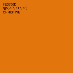 #E3750D - Christine Color Image