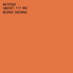 #E37542 - Burnt Sienna Color Image