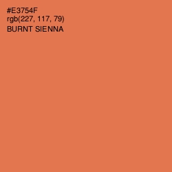 #E3754F - Burnt Sienna Color Image
