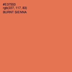 #E37553 - Burnt Sienna Color Image