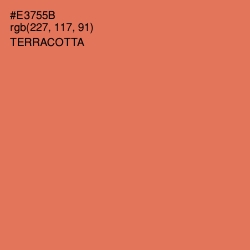 #E3755B - Terracotta Color Image