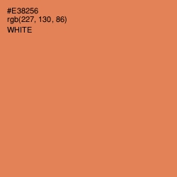 #E38256 - Tan Hide Color Image