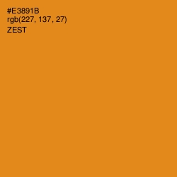 #E3891B - Zest Color Image