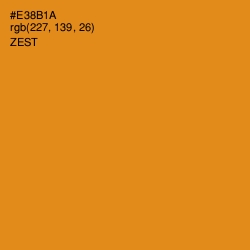 #E38B1A - Zest Color Image