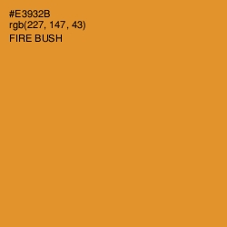 #E3932B - Fire Bush Color Image