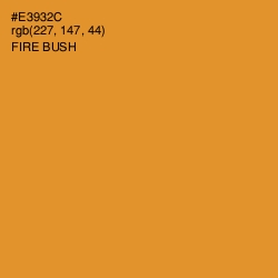 #E3932C - Fire Bush Color Image