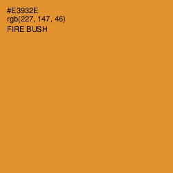 #E3932E - Fire Bush Color Image