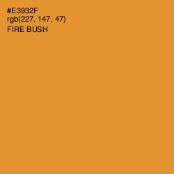 #E3932F - Fire Bush Color Image