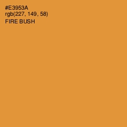 #E3953A - Fire Bush Color Image