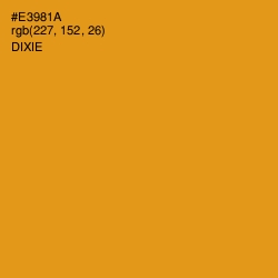 #E3981A - Dixie Color Image