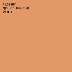 #E39967 - Apricot Color Image