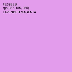 #E39BEB - Lavender Magenta Color Image