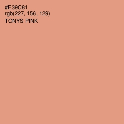 #E39C81 - Tonys Pink Color Image