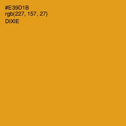 #E39D1B - Dixie Color Image