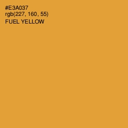 #E3A037 - Fuel Yellow Color Image