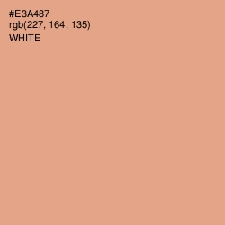 #E3A487 - Tacao Color Image