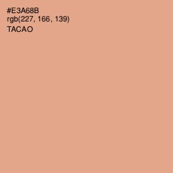 #E3A68B - Tacao Color Image