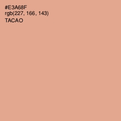 #E3A68F - Tacao Color Image